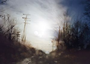 「Excerpts From Silver Meadows / Todd Hido」画像4