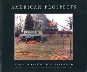 AMERICAN PROSPECTS / Joel Sternfeld