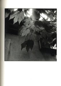 「代官山17番地 / ハービー・山口」画像4