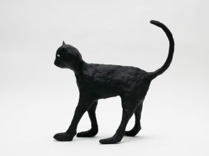 「The Cat / 菅谷晋一」画像7