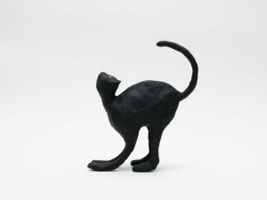 「The Cat / 菅谷晋一」画像1