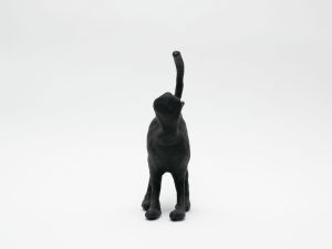 「The Cat / 菅谷晋一」画像3