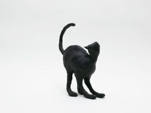 「The Cat / 菅谷晋一」画像4