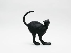 「The Cat / 菅谷晋一」画像5