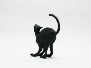 「The Cat / 菅谷晋一」画像8
