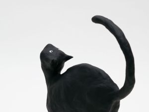 「The Cat / 菅谷晋一」画像9