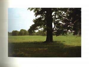 「ELECTION EVE / William Eggleston」画像2