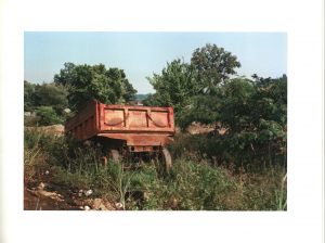 「ELECTION EVE / William Eggleston」画像4