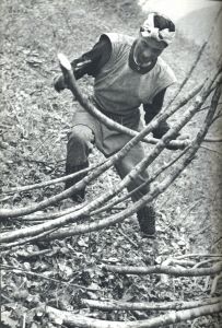 「雪国 / 島田謹介」画像5