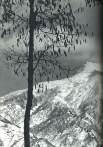 「雪国 / 島田謹介」画像3