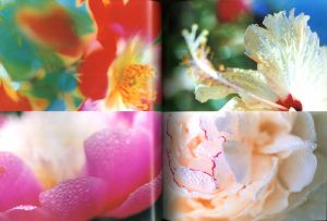 「蜷川実花展　地上の花、天上の色 / 写真：蜷川実花」画像2