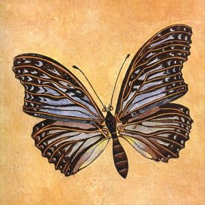 「Joan Miró - Fotoscop / Joan Miró」画像2