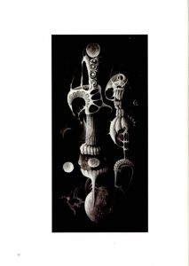 「アンリ・マッケローニ作品集 / アンリ・マッケローニ　監修：植島啓司」画像5