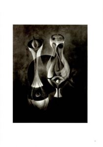 「アンリ・マッケローニ作品集 / アンリ・マッケローニ　監修：植島啓司」画像6