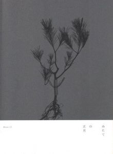 みたての正月 / デザイン：鈴木孝尚