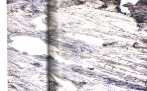 「terra / Goto Aki」画像1