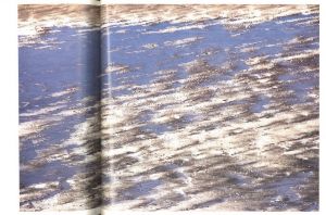 「terra / Goto Aki」画像2