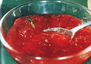 「COMMON SENSE / Martin Parr」画像2