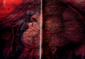 「Jacques-Fabien Gautier D’Agoty / Jacques-Fabien Gautier D’Agoty Edit: Adam Lowe Directed: Kyoichi Tsuzuki」画像1