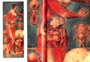 「Jacques-Fabien Gautier D’Agoty / Jacques-Fabien Gautier D’Agoty Edit: Adam Lowe Directed: Kyoichi Tsuzuki」画像3