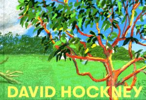 デイヴィッド・ホックニー展／デイヴィッド・ホックニー／(DAVID HOCKNEY / David Hockney)のサムネール