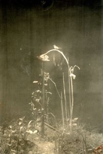 空の箱【サイン入】／山本昌男／(A Box of Ku【SIGNED】 / Masao Yamamoto)のサムネール