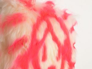 「Venus in Winter / 天野タケル」画像3