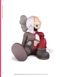 「KAWS: What Party / KAWS」画像6