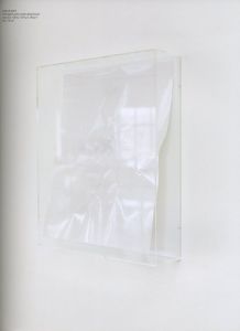 「Wolfgang Tillmans: To Look Without Fear / 著：ヴォルフガング・ティルマンス、ロクサナ・マルコチ」画像5
