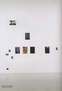 「Wolfgang Tillmans: To Look Without Fear / 著：ヴォルフガング・ティルマンス、ロクサナ・マルコチ」画像10
