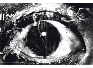 「BA・RA・KEI: ORDEAL BY ROSES / Model, Preface: Yukio Mishima　Photo: Eikoh Hosoe　Design: Kiyoshi Awazu」画像6