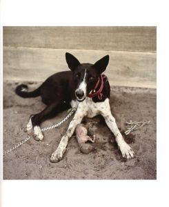 「THE HYENA & OTHER MEN / Pieter Hugo」画像6