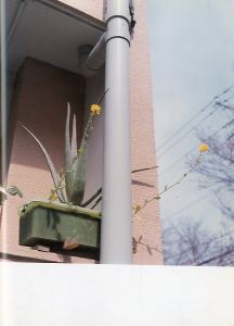 「あの頃のこと / 写真：川内倫子　文： 是枝裕和、中村航、やまだないと、湯本香樹実、佐藤さとる、中村一義、島本理生、堀江敏幸、しりあがり寿」画像2