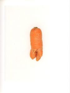 「DEFECTIVE CARROTS / TIm Smyth」画像4