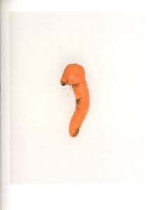 「DEFECTIVE CARROTS / TIm Smyth」画像5