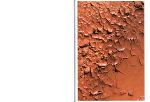 「Drinking From The Eye / Honey Long, Prue Stent」画像5