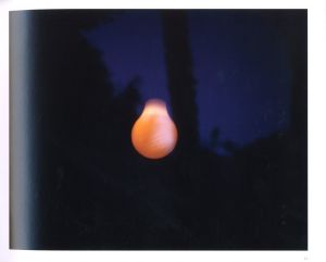 「99 CENT DREAMS / Doug Aitken」画像1