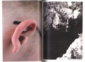 「Wolfgang Tillmans / ヴォルフガング・ティルマンス」画像4