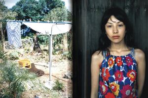 「太陽とハチ蜜 / 写真：藤代冥砂」画像1