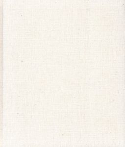 雪を見ていた / 村越としや