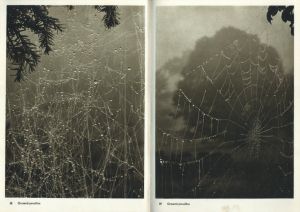 「JOSEF SUDEK FOTO GRAFIE / Josef Sudek」画像5