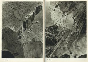 「JOSEF SUDEK FOTO GRAFIE / Josef Sudek」画像8