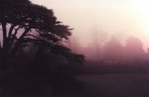 「ロンドン ー チェイシング・ザ・ドリーム（夢を追い求めて） / 著：ハービー・山口」画像1