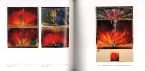 「「色彩」としてのスフィンクス / 加納光於」画像4