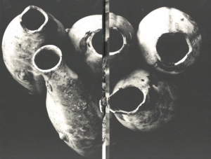 「地図（復刻版） / 著：川田喜久治　装丁：杉浦康平　序文：大江健三郎」画像6