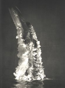 「LENI RIEFENSTAHL / Leni Riefenstahl」画像3