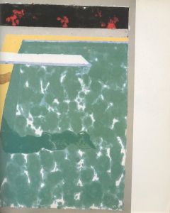「paper pools / David Hockney Edit: Nikos Stangos」画像3