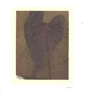 「FROM ONE SEASON TO ANOTHER / サラ・ムーン」画像8