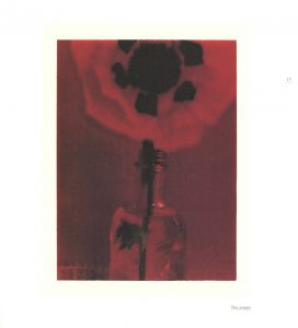 「FROM ONE SEASON TO ANOTHER / サラ・ムーン」画像9