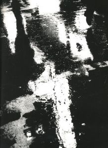 「Enter the Mirror / 著者：中藤毅彦　編集者：津田基　装丁者：秋山伸」画像10